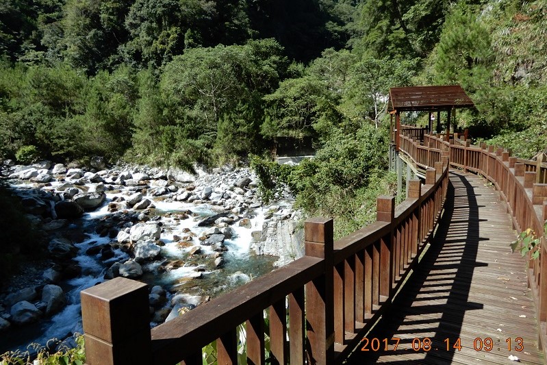 八仙山國家森林遊樂區(Basianshan National Forest Recreation Area) 景點 步道 十文溪 谷關溫泉 台中 台灣溫泉 谷關溫泉旅館 地址