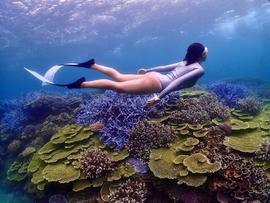 澎湖景點 澎湖秘境 澎湖打卡景點 澎湖IG打卡景點 澎湖小希臘 澎湖聖托里尼 澎湖摩西分海 澎湖日出
澎湖海底薰衣草森林 南方四島薰衣草森林