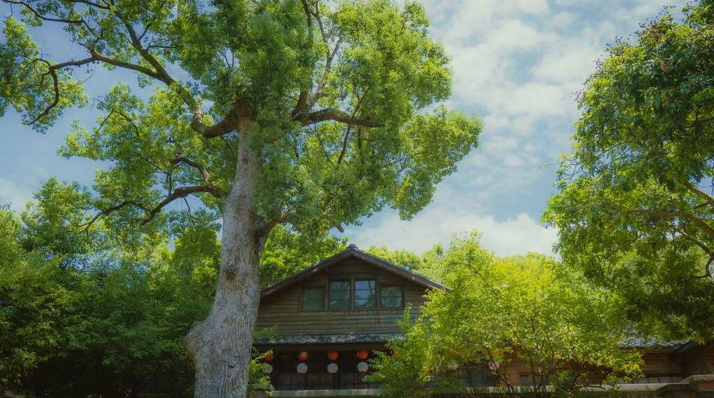 隱身於北投公園末端的大樹裡,梅庭是一棟建於1930年代末期的日洋式溫泉別莊,融合日式木架構與西式設計,擁有歷史文化與藝術氛圍,展現北投溫泉區的獨特魅力。