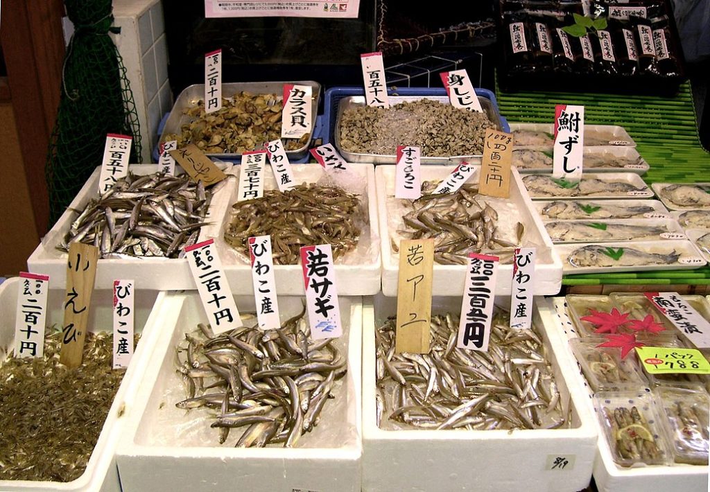 京都琵琶湖交通 大阪琵琶湖交通 JR琵琶湖線 京阪大津線 琵琶湖周遊券 琵琶湖一日遊 琵琶湖景點 琵琶湖自由行