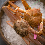 松葉蟹、背子蟹|大阪蟹 大阪食蟹 大阪美食 大阪必食 活け蟹と海栗 カニジェンヌ(canni sienne)