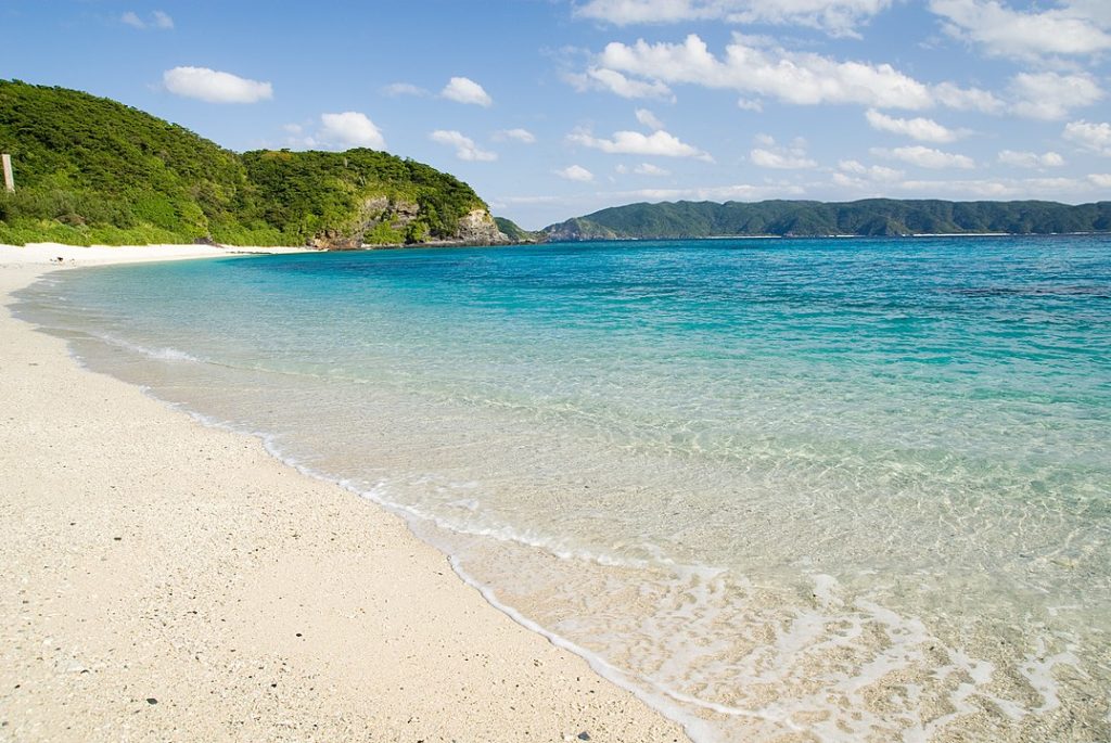 沖繩離島 沖繩外島 座間味島 沖繩貓島
