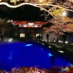 勝尾寺 秋之夜晚 勝尾寺紅葉 勝尾寺 紅葉 勝尾寺夜楓 大阪 夜間紅葉 大阪賞楓景點 大阪賞楓 景點 大阪紅葉景點 大阪紅葉 景點 大阪賞楓 大阪楓葉 大阪紅葉預測 大阪夜楓 大阪夜楓2019 大阪紅葉2019 大阪賞楓2019 大阪楓葉2019 大阪紅葉預測2019