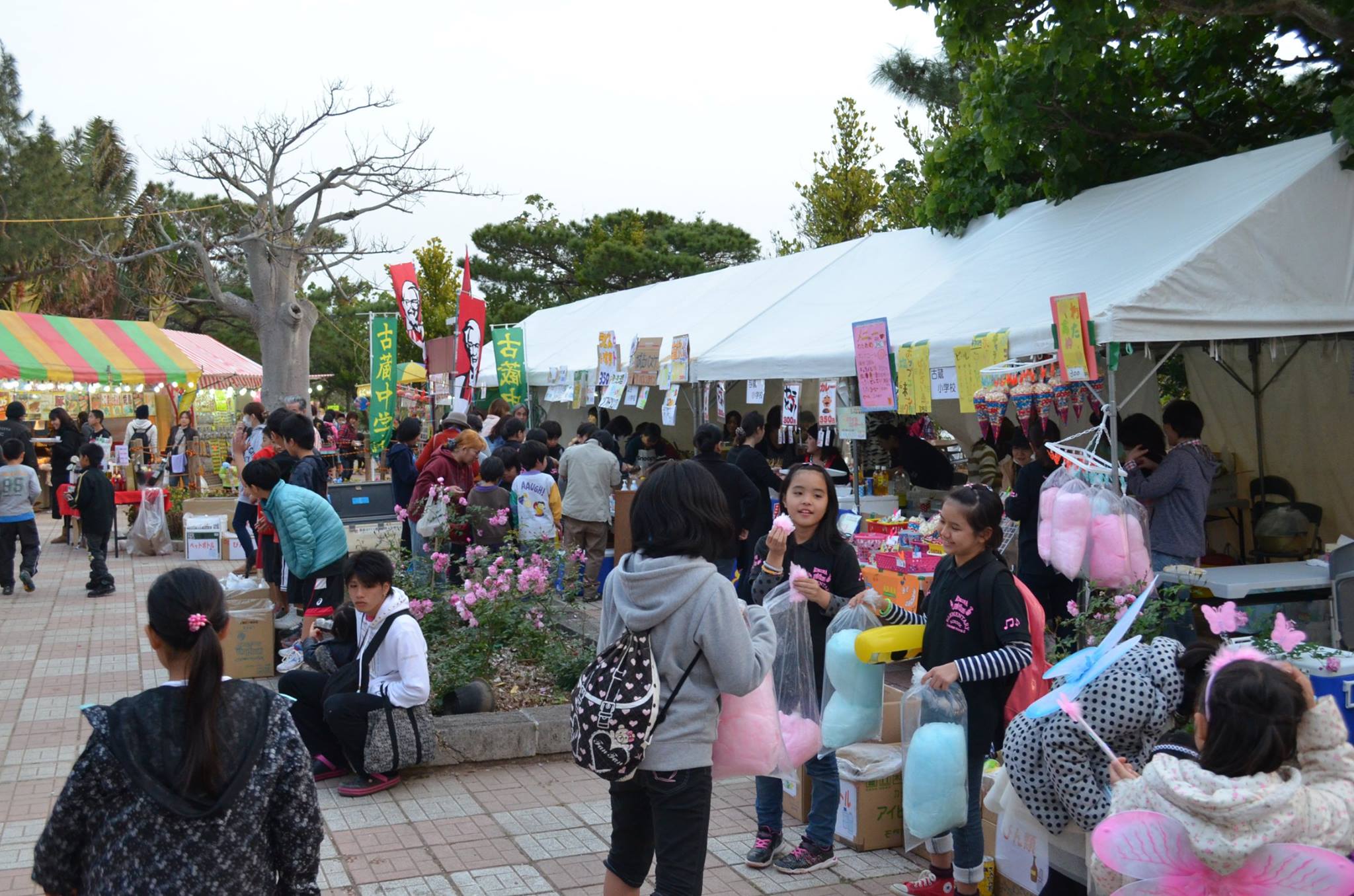 那霸美麗櫻花祭(那覇美らさくらまつり)|沖繩冬天 沖繩好去處 沖繩櫻花 沖繩景點 沖繩1月 沖繩2月 沖繩櫻花祭 八重岳櫻花祭 沖繩本部櫻花祭