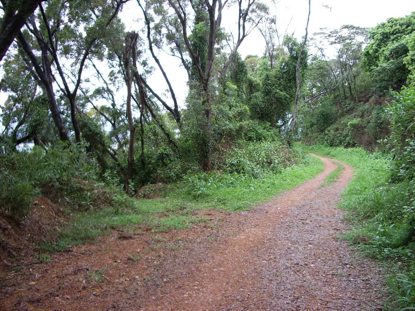 尾寮山步道