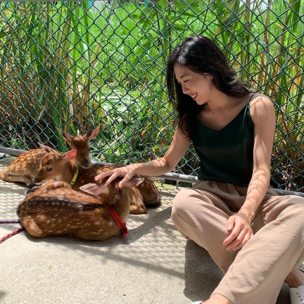 台灣梅花鹿 梅花鹿樂園 台灣梅花鹿樂園 斑比山丘 張美阿嬤農場 山腳鹿場水鹿之家 山腳鹿場 鹿羽松牧場 鹿境 鹿境梅花鹿生態園區