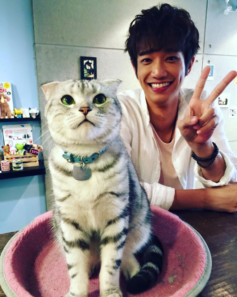 台北貓cafe 台北貓咪咖啡廳 台北咖啡店 台北貓奴 台北貓餐廳 台北貓中途 台北貓領養 台北貓住宿 小春日和 動物雜貨 台北民生區貓cafe