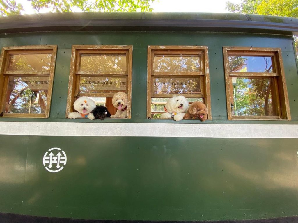 羅東林業文化園區
