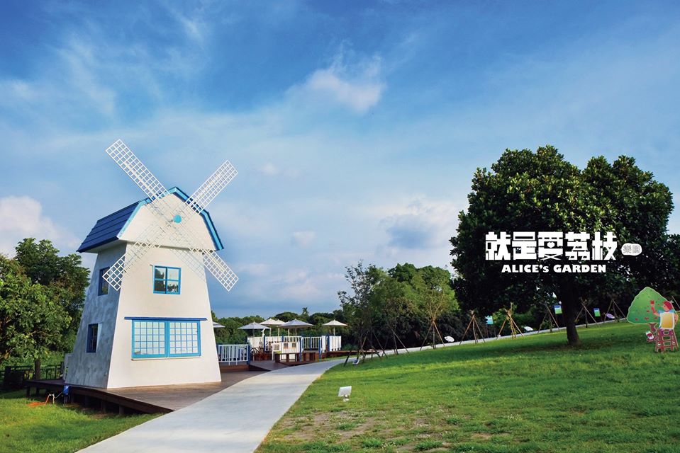 彰化桐花 彰化油桐花 彰化賞桐花 彰化桐花時間 彰化桐花季節 彰化桐花5月 就是愛荔枝樂園