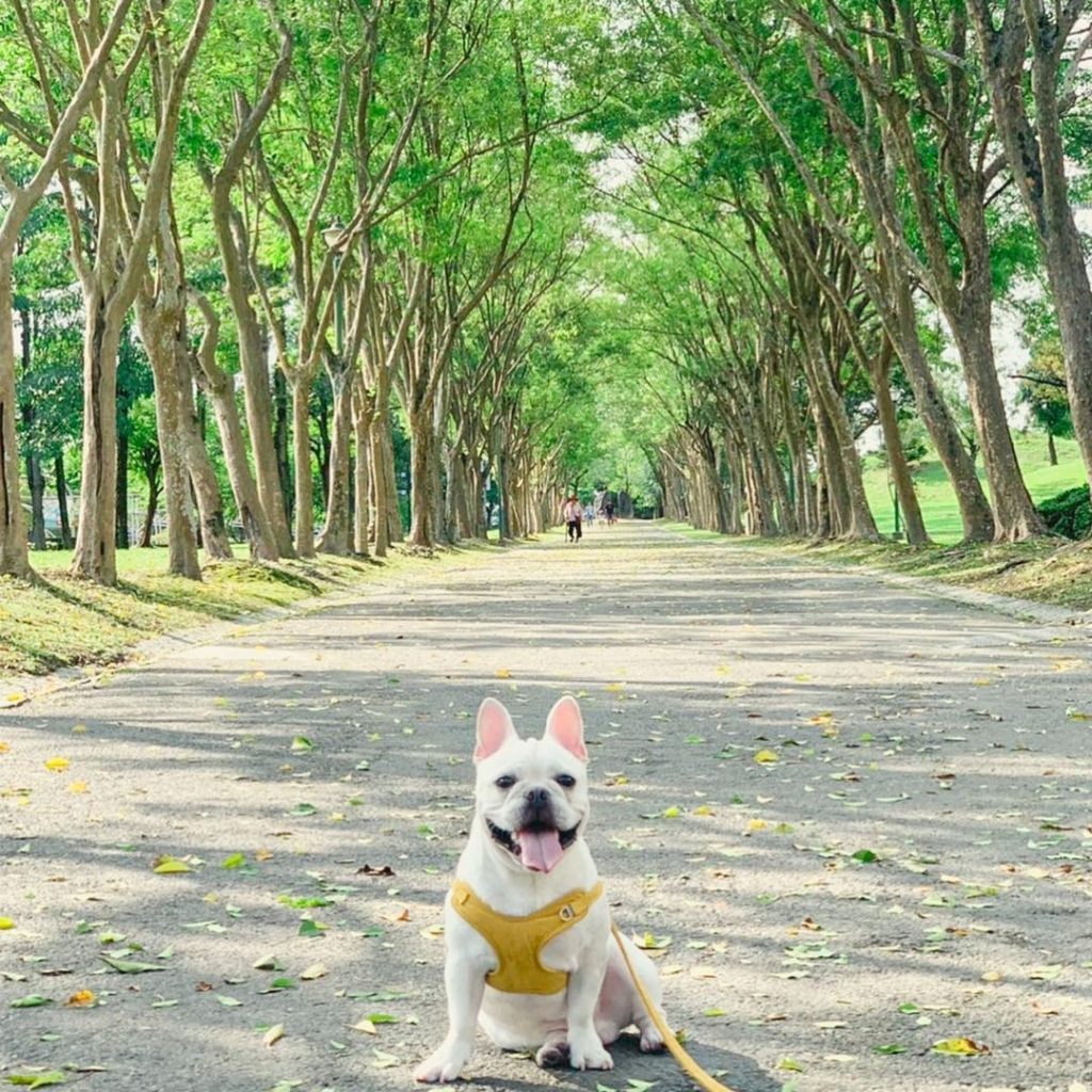 羅東運動公園