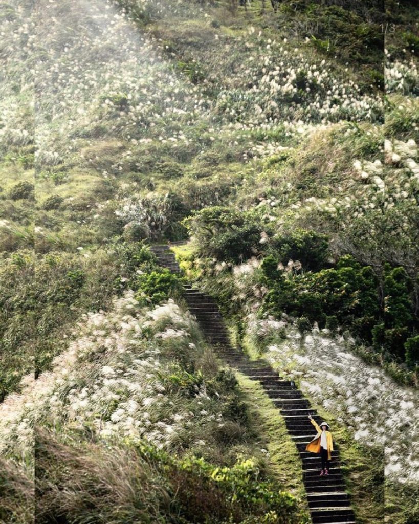 草嶺古道