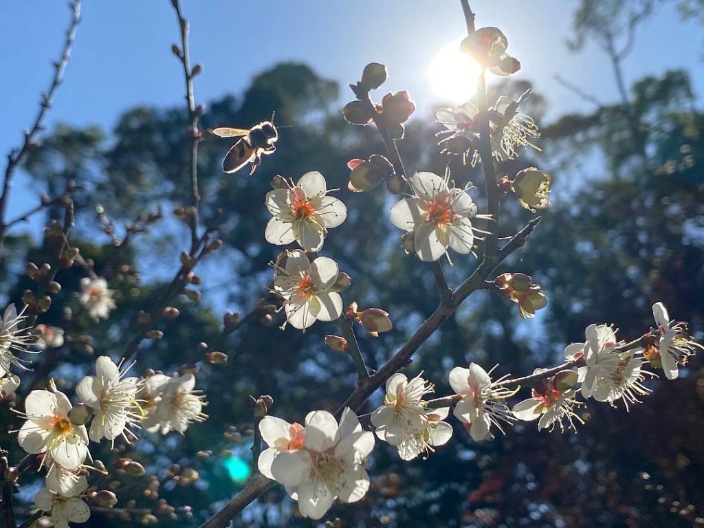 角板山公園