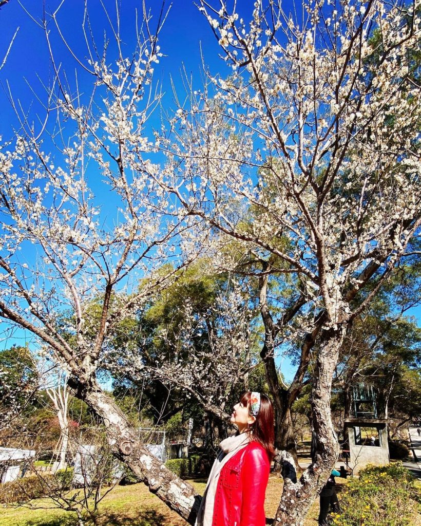 角板山公園