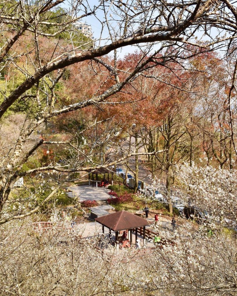 石門水庫