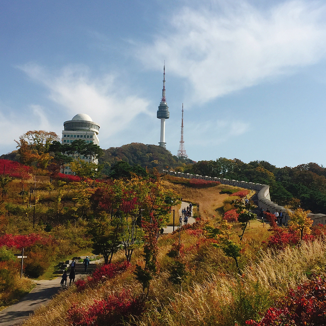 韓國紅葉 紅葉 楓葉 韓國楓葉 韓國11月 韓國10月 首爾 首爾賞楓 韓國賞楓 首爾塔 南山塔 南山公園 남산공원 韓國賞花 韓國賞花景點 韓國好去處 韓國慶典 韓國必去 韓國 花 韓國打卡