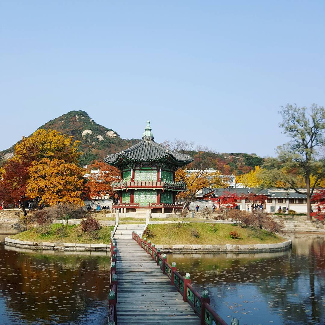 韓國紅葉 紅葉 楓葉 韓國楓葉 韓國11月 韓國10月 首爾 首爾賞楓 韓國賞楓 景福宮 경복궁 韓國賞花 韓國賞花景點 韓國好去處 韓國慶典 韓國必去 韓國 花 韓國打卡