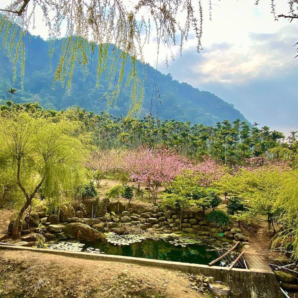 青山坪咖啡農場
