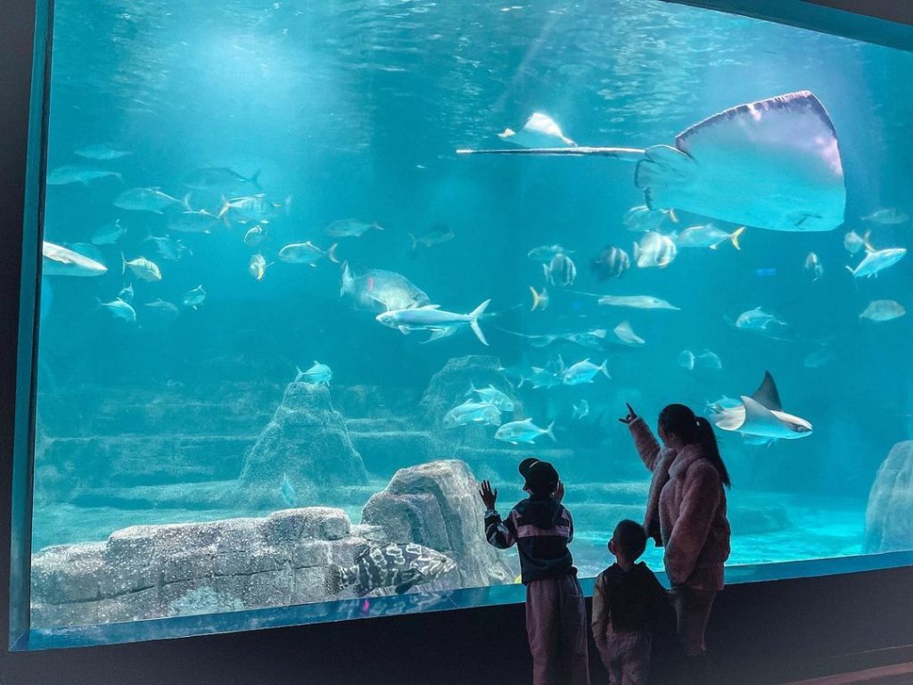 遠雄海洋公園|