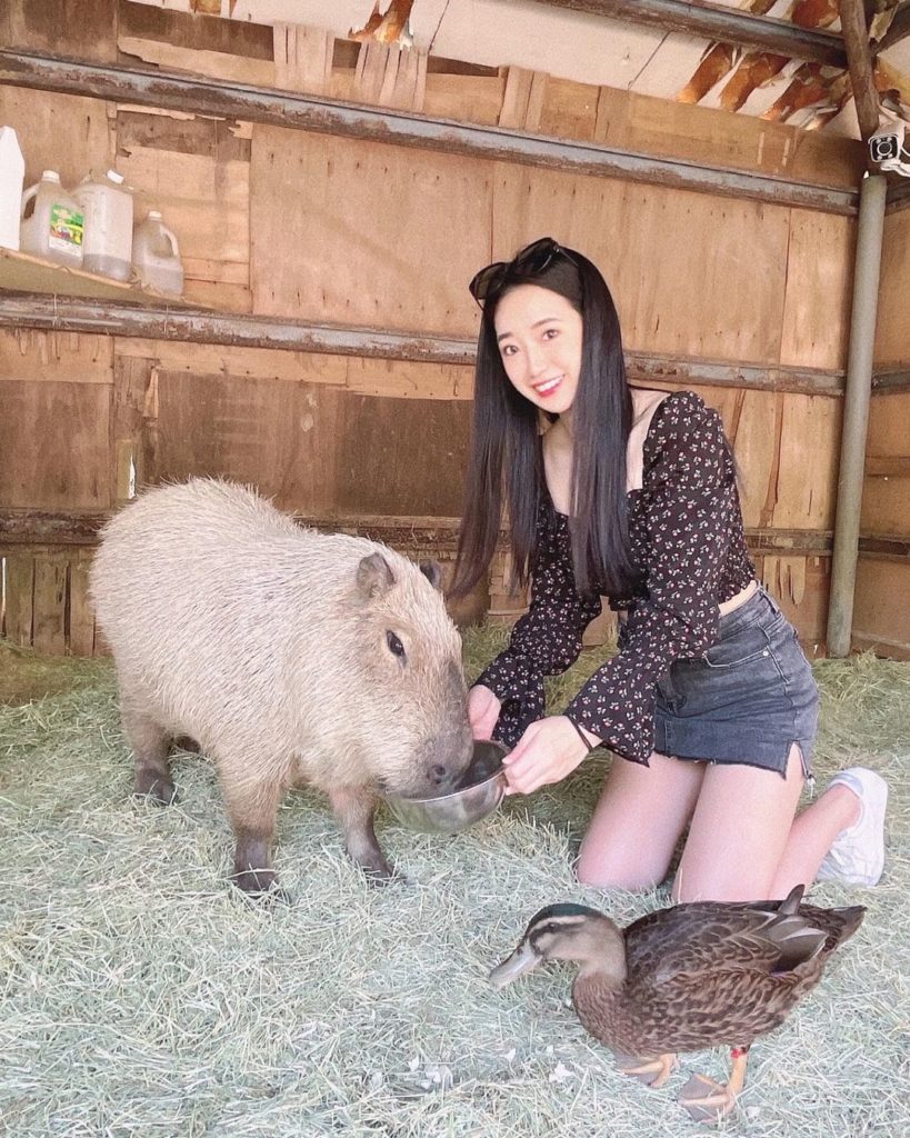 頑皮世界野生動物園