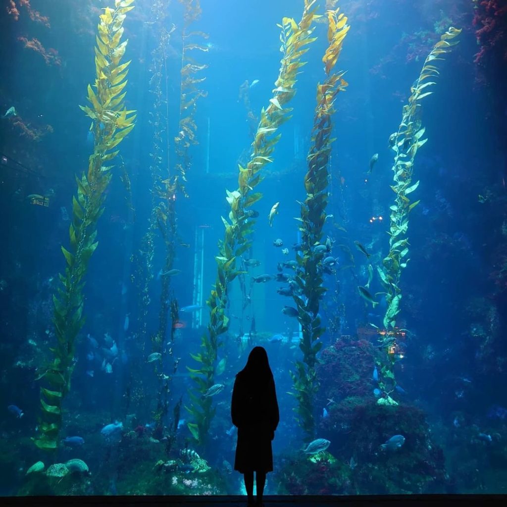 屏東海生館