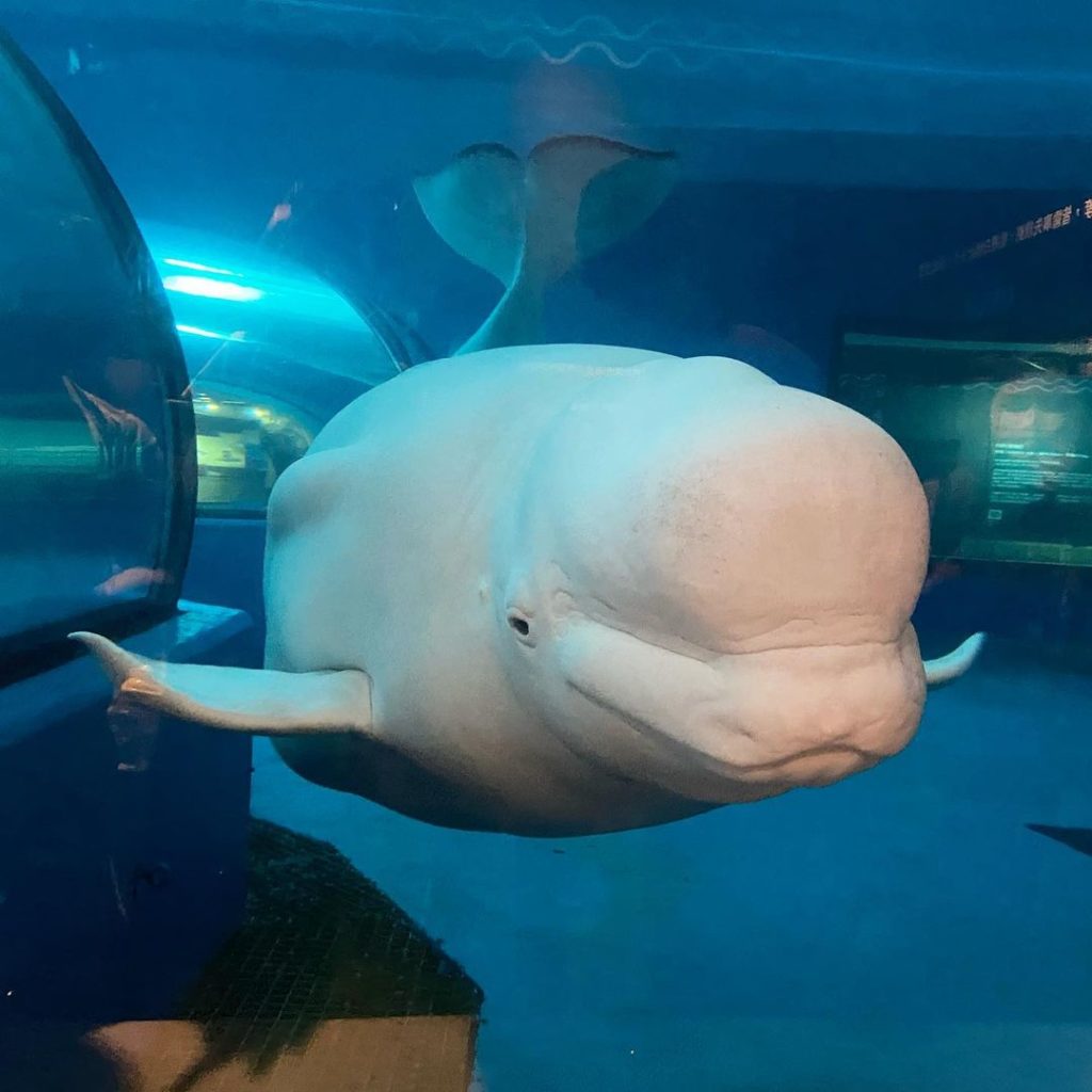 屏東海生館