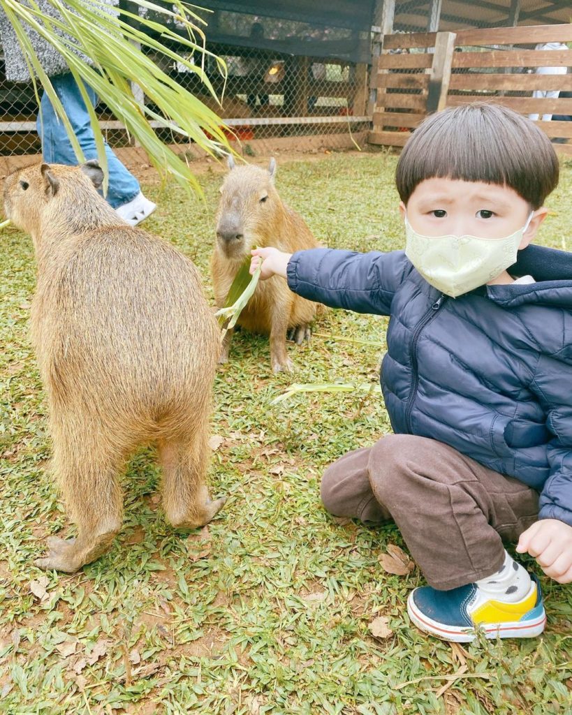 埔心牧場