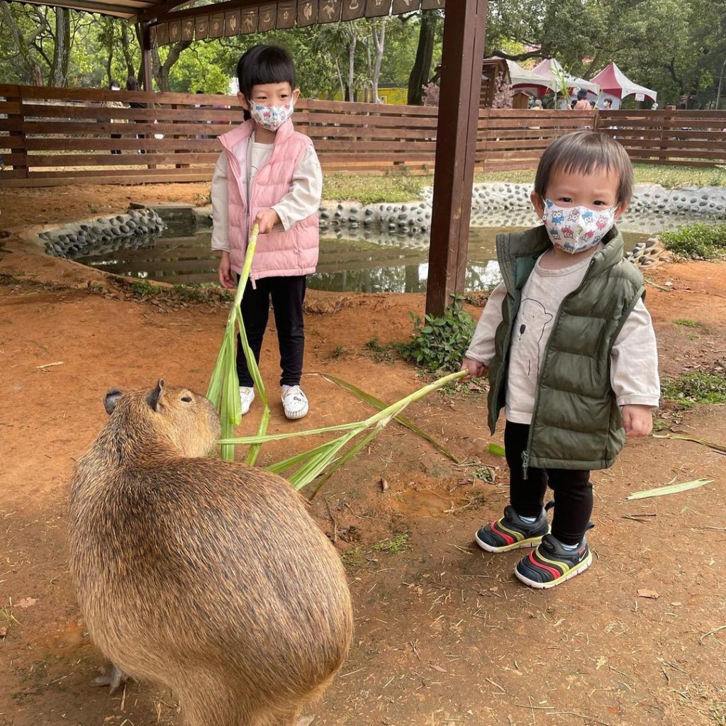 埔心牧場
