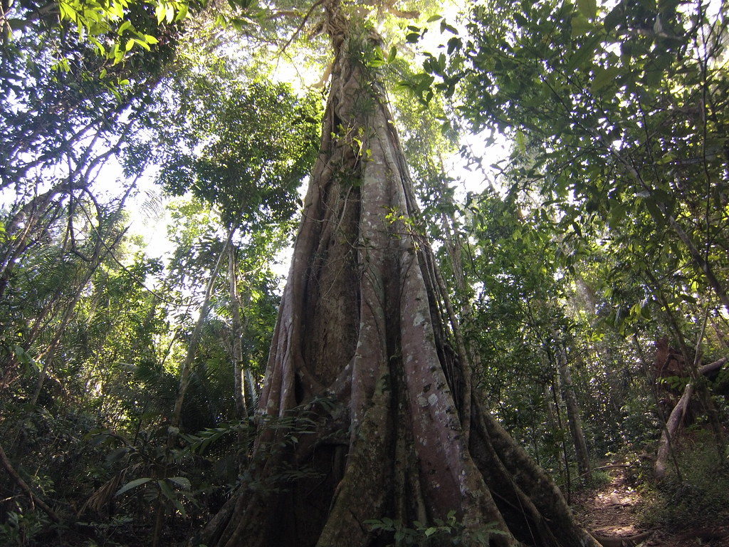 泰國自由行 那空那育府 (Nakhon Nayok) ​ ​考艾國家公園（Khao Yai National Park）