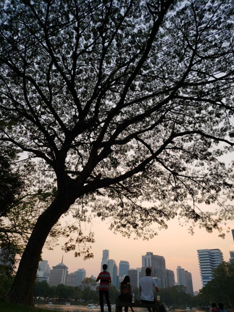 曼谷景點 曼谷公園 曼谷必逛公園 倫披尼公園 Lumphini Park 班哲希利公園 Benchasiri Park 班嘉奇蒂公園 Benjakitti Park
