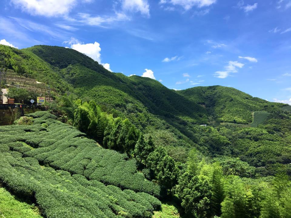 山思雲想風格露營區