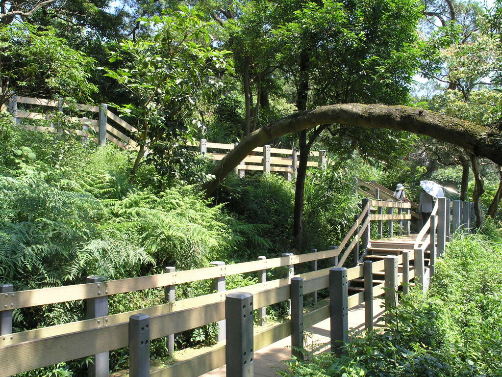 親子步道 台中爬山秘境 台北爬山秘境 爬山 台灣登山步道 台北爬山 台北登山 台北虎山親山步道 台北登山步道