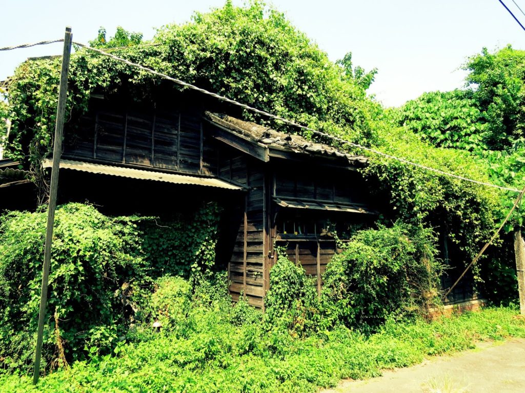 忠權社區 八卦山 文學步道 彰化市景點 彰化一日遊 彰化台鐵宿舍村 彰化扇形車庫 彰化景點 彰化打卡景點 彰化景點推薦 賴和詩牆銀河廊道