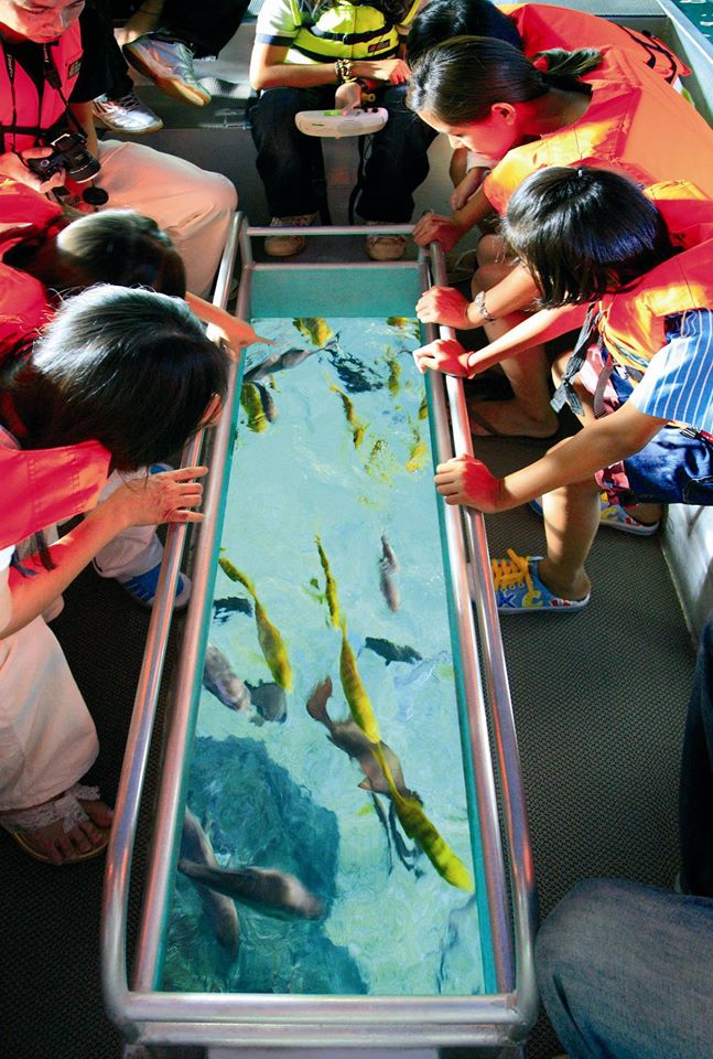 曼谷水族館 曼谷暹羅海洋世界可以搭玻璃船親近超過400種海洋生物（又稱海洋世界水族館）曼谷景點 曼谷親子景點