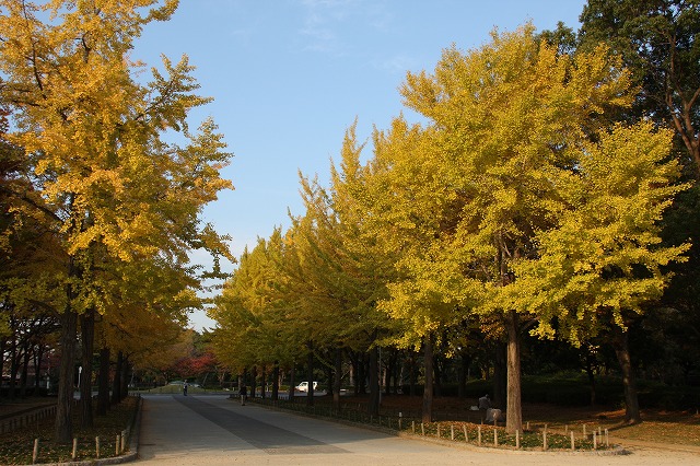 20101123190330821