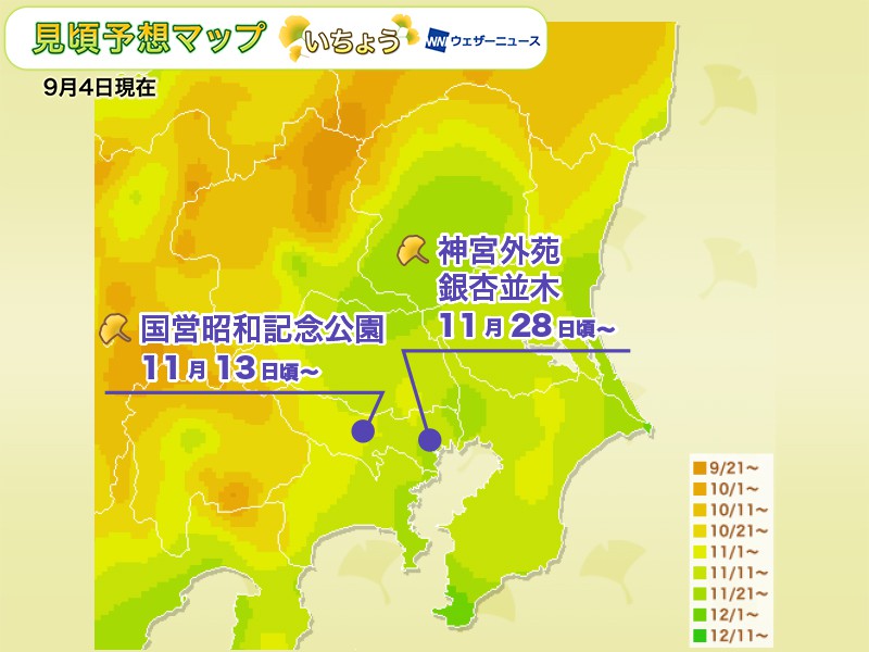 【東京銀杏2026】東京紅葉前奏!東京銀杏大道3選:明治神宮外苑、國營昭和紀念公園、 光が丘公園