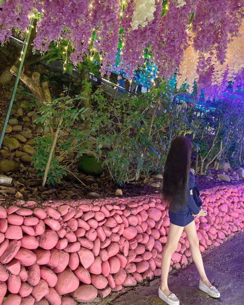 紫藤花光廊