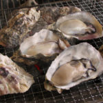 燒蠔|大阪自由行 大阪美食 大阪必食 大阪行程 大阪市場 大阪魚市場 大阪海鮮市場 中之島漁港(Nakanoshima Fishing Port)