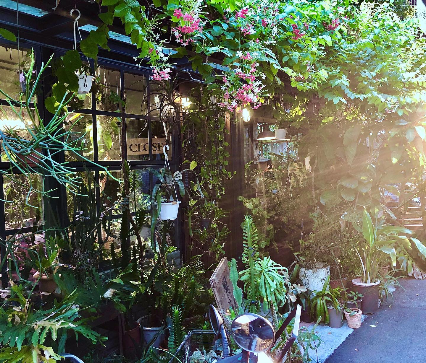 小青苑 Cyan Cafe