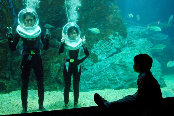 曼谷水族館 曼谷暹羅海洋世界可以搭玻璃船親近超過400種海洋生物（又稱海洋世界水族館）曼谷景點 曼谷親子景點