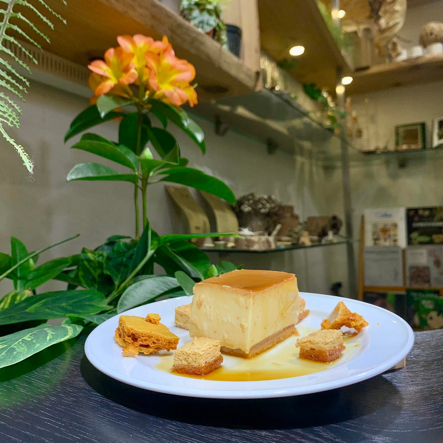 Vittaria Café 書帶蕨