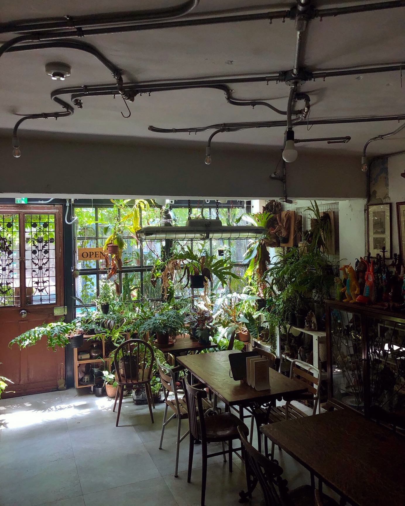 小青苑 Cyan Cafe