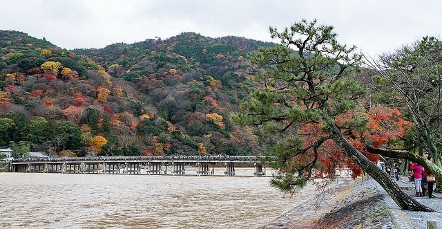 京都一天行程: 嵐山紅葉遊
