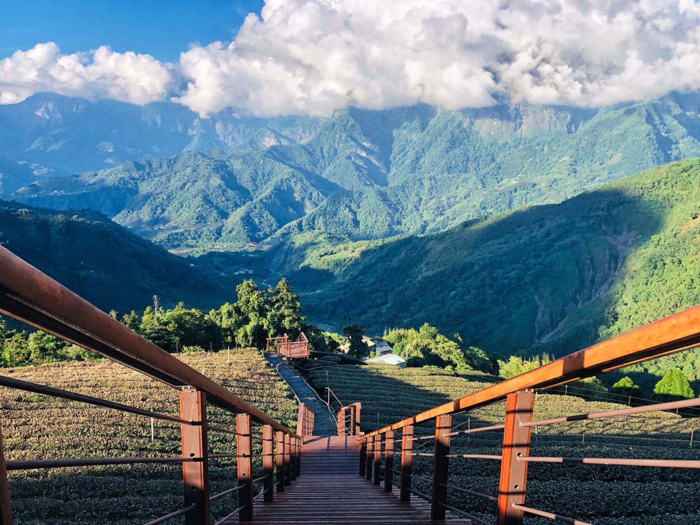 旅人茶濃