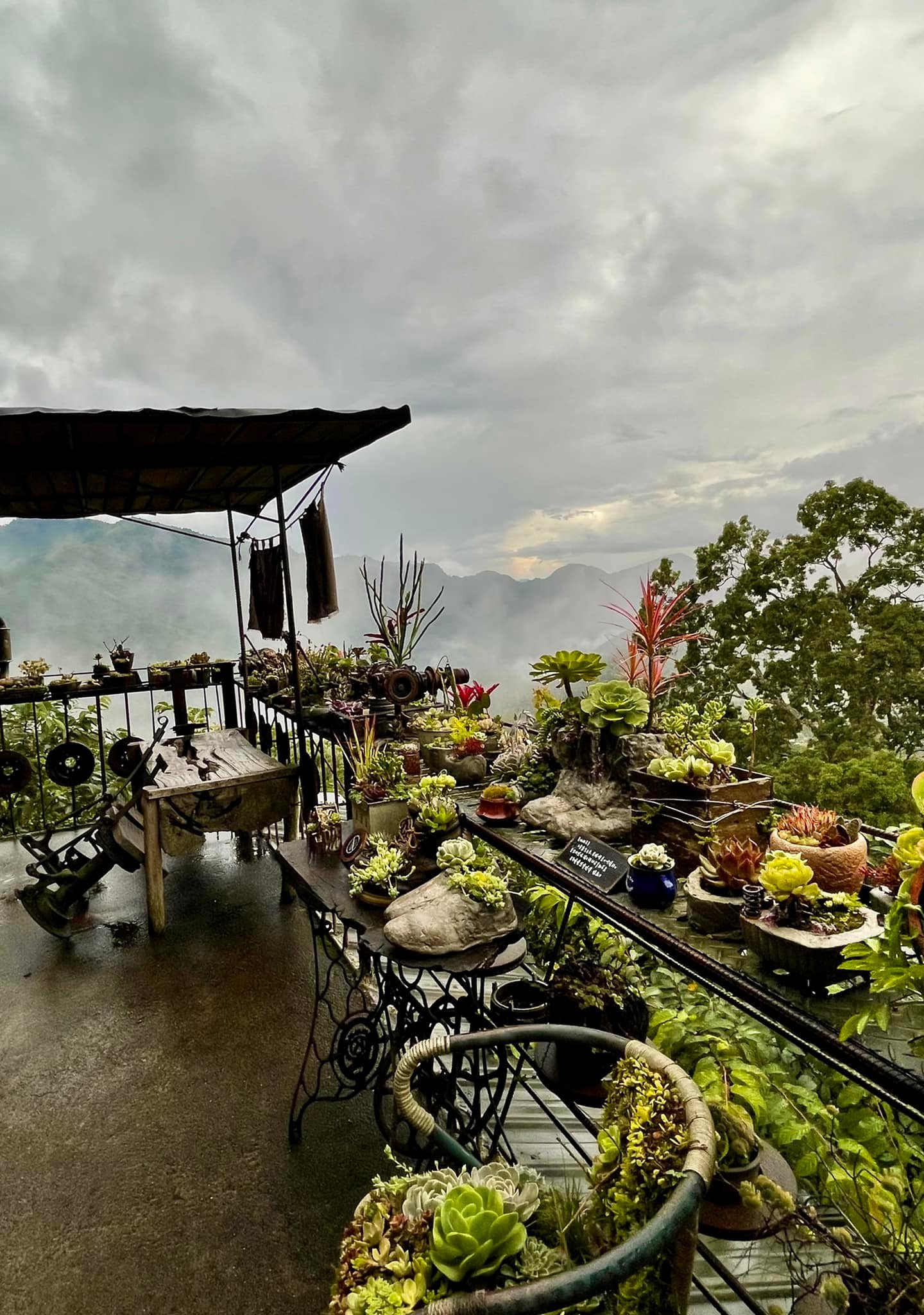 AjangHome 阿將的家23咖啡館