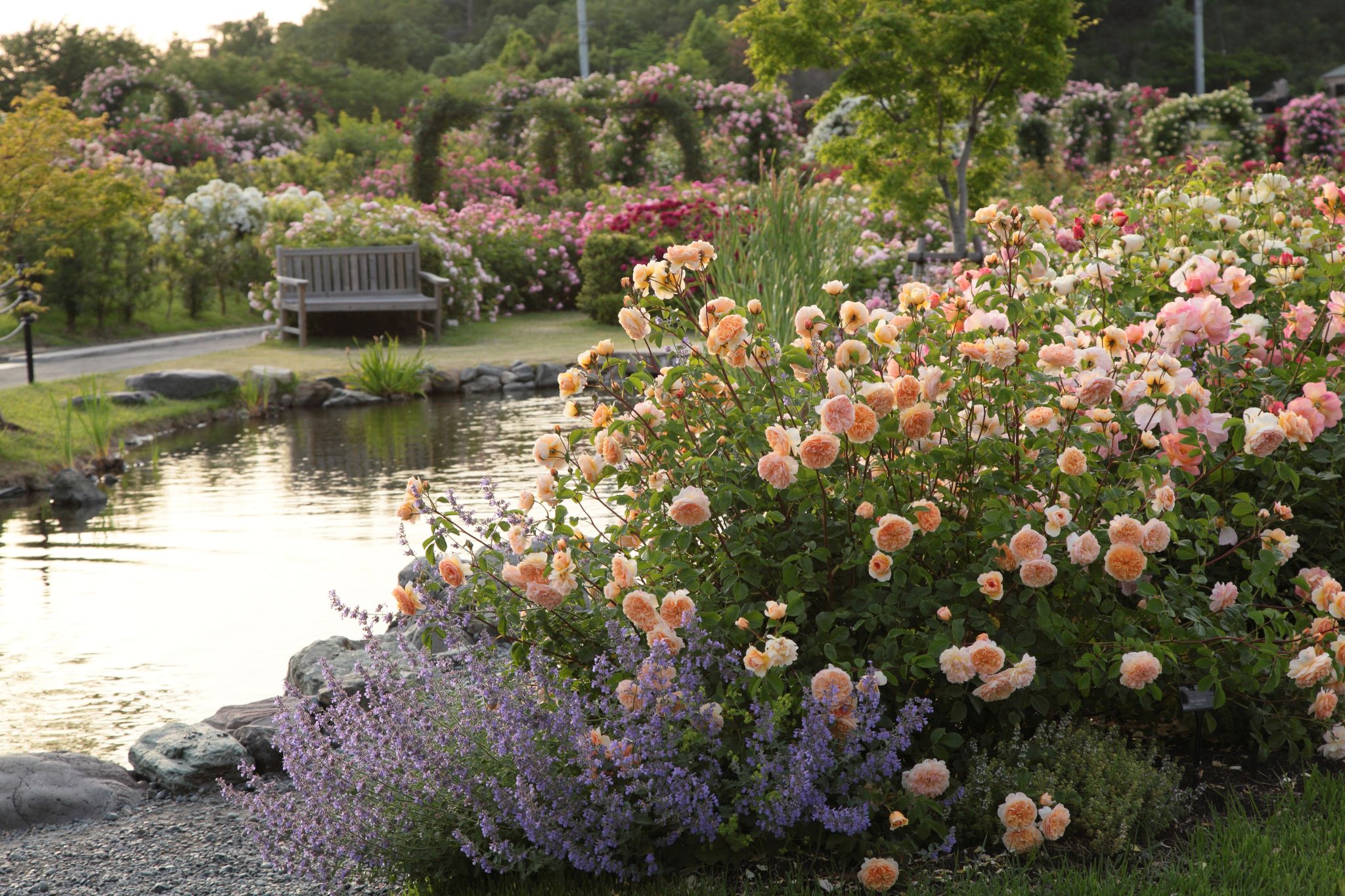 Lockheart Castle William’s Garden 打卡位：水邊之庭