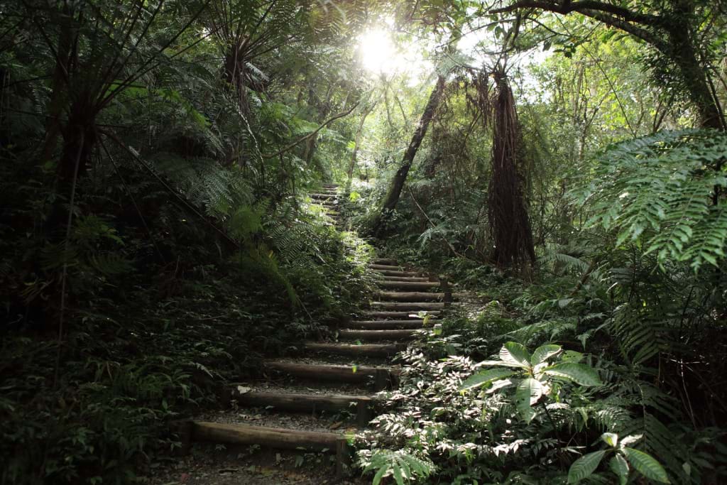 親子步道 台中爬山秘境 台北爬山秘境 爬山 台灣登山步道 宜蘭爬山 宜蘭礁溪林美石磐步道 宜蘭登山 宜蘭登山步道