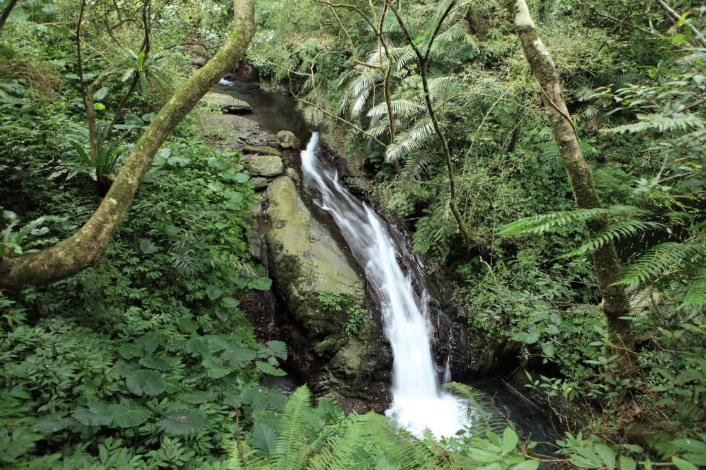 親子步道 台中爬山秘境 台北爬山秘境 爬山 台灣登山步道 宜蘭爬山 宜蘭礁溪林美石磐步道 宜蘭登山 宜蘭登山步道