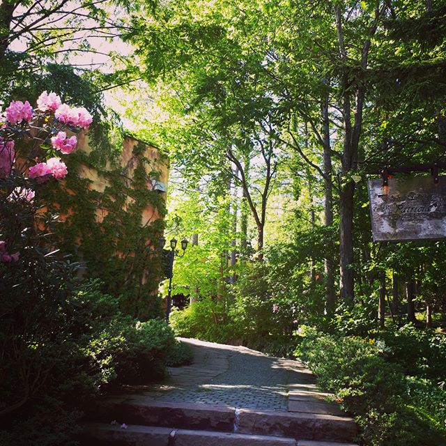 Lockheart Castle William’s Garden 打卡位：玫瑰花