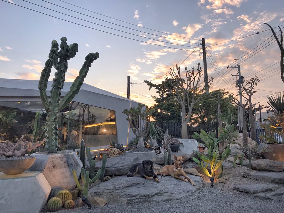 彰化景點大熱推薦酉 Succulent & Artwork是台灣第一間塊根植物專門店。幾何建築溫室搭配戶外的沙漠造景，營造出原始生態的生長樣貌