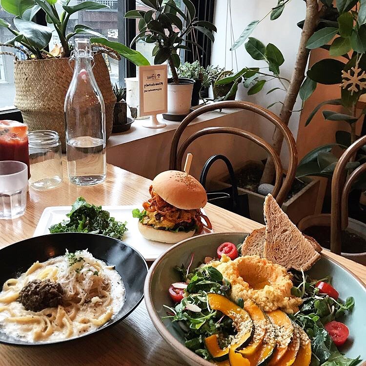 益善洞擁有各式各樣的韓國料理 - Plant Cafe Seoul